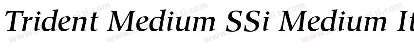 Trident Medium SSi Medium Italic字体转换